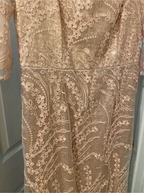 Adrianna Papell Champagne Lace Embroidered Sheath Dress